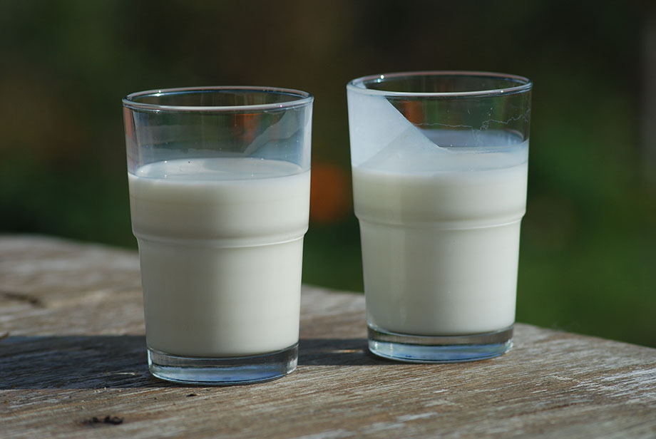 Best Tasting Non-Dairy Protein Powder Best Tasting Non-Dairy Protein Powder