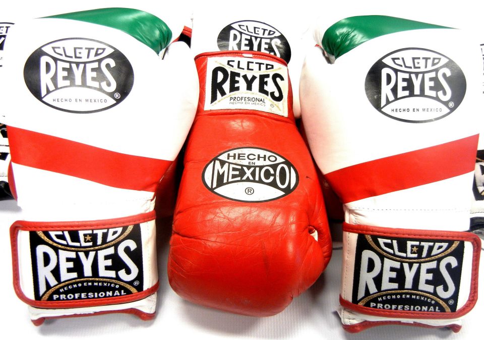 Best Boxing Gloves for Beginners Reviews Best Boxing Gloves for Beginners Reviews