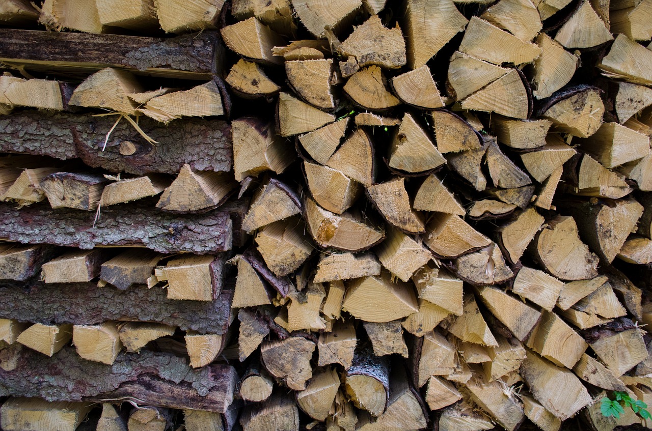 Best Log Splitter Reviews Best Log Splitter Reviews