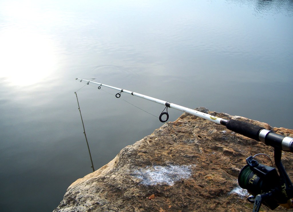 Best Fishing Pole for Beginners Reviews Best Fishing Pole for Beginners Reviews