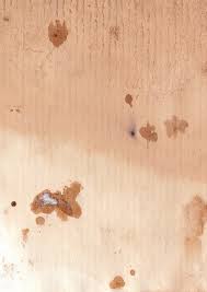 Best Wood Fillers Best Wood Fillers