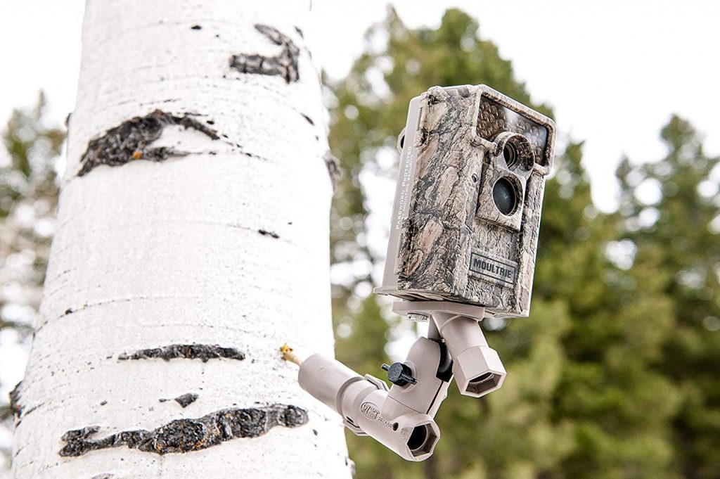 Best Trail Camera Mount 2020 Top Trail Camera Mounting Pole
