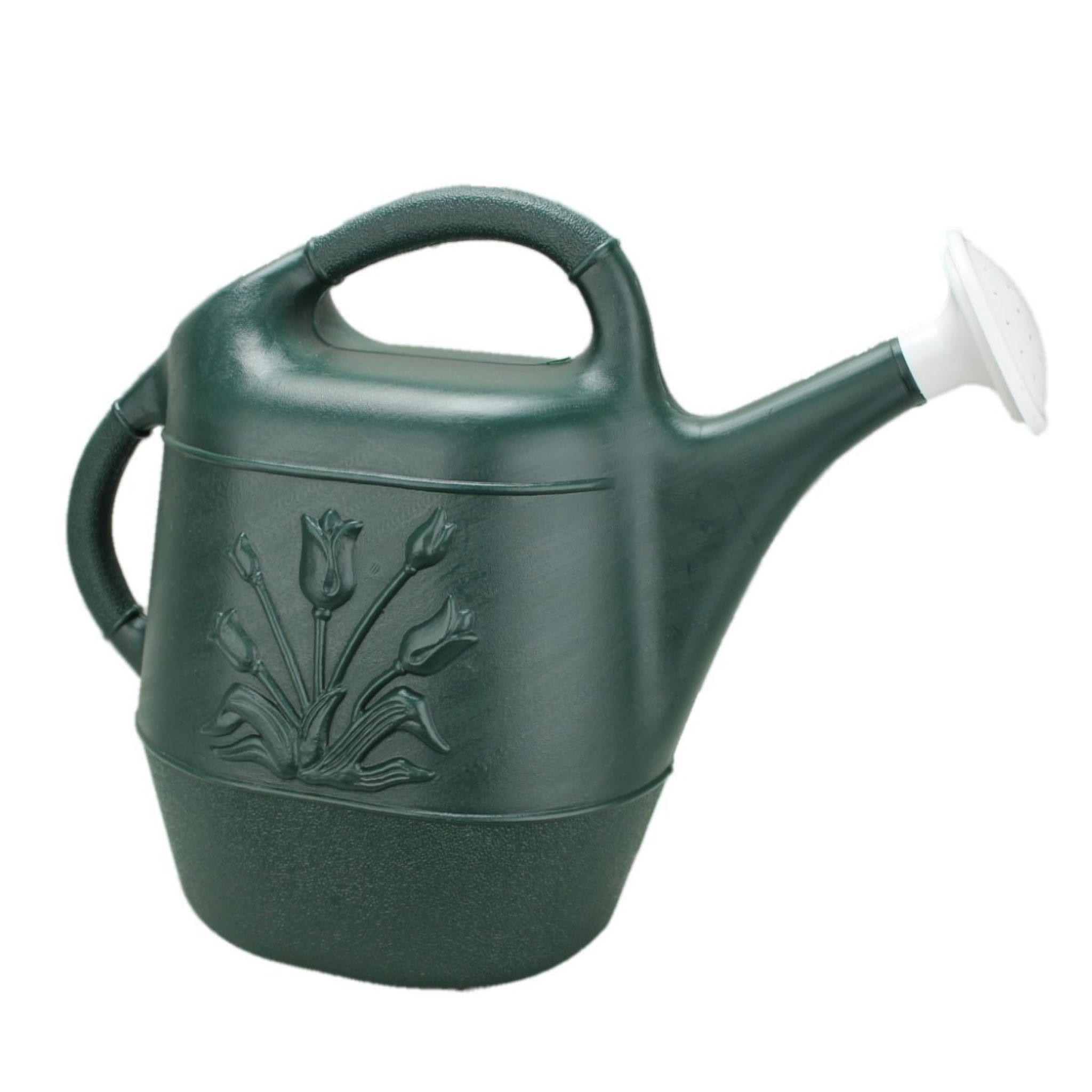 Best Watering Can for Vegetable Garden 2020 Top Watering Cans