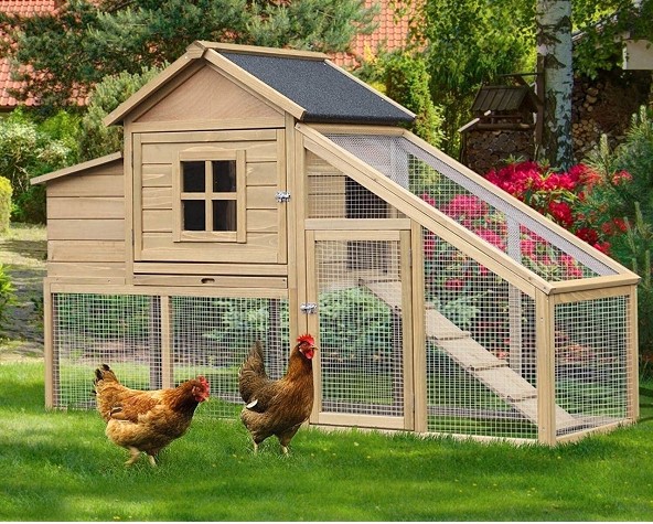 Buying chicken feeders Buying chicken feeders